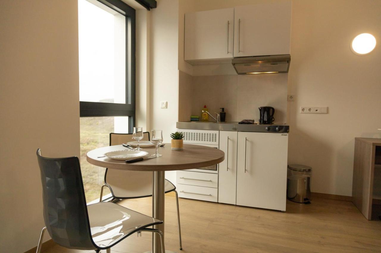 דירות אש-סור-אלזט Modern Chic Immaculate Studio Near City Center Belval מראה חיצוני תמונה